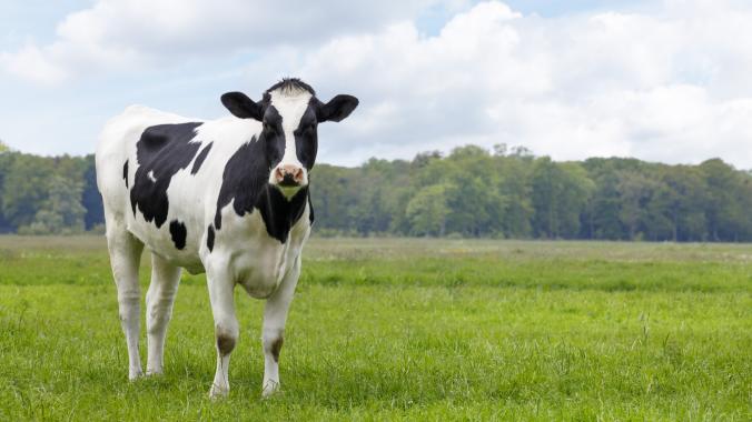 Arla kaksinkertaistaa toimintansa CO2-vähennystavoitteen 