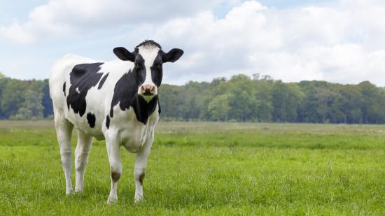 arla