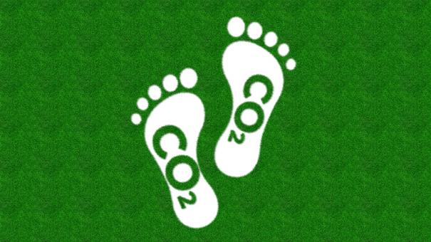 co22