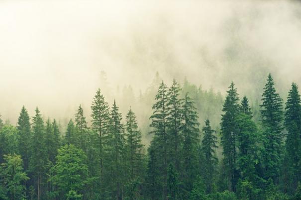 cold-daylight-environment-1423600