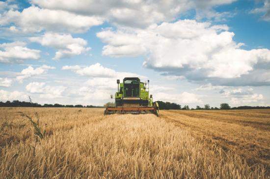 green-tractor-175389