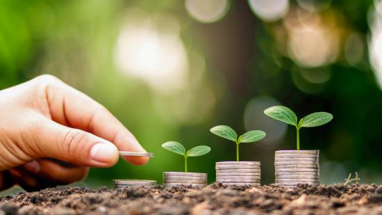 iStock-1272176160