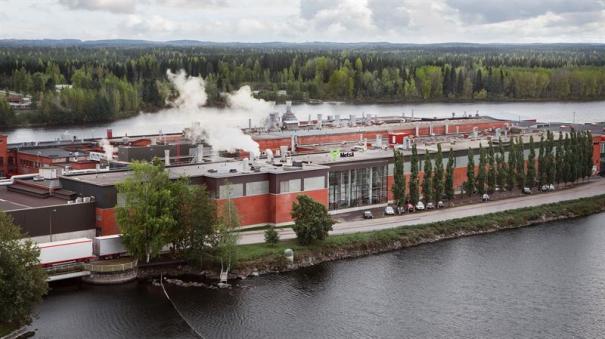 metsä