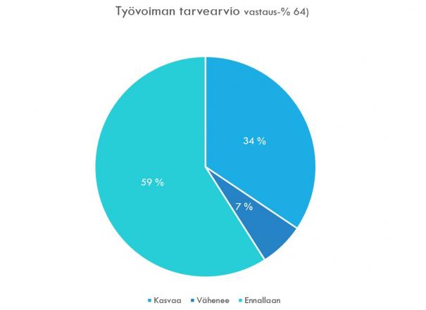 STK_tyvoimakysely_2021_kevt_kuva (002)